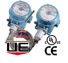 UE Temperature Switches