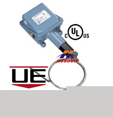 Temperature Switches