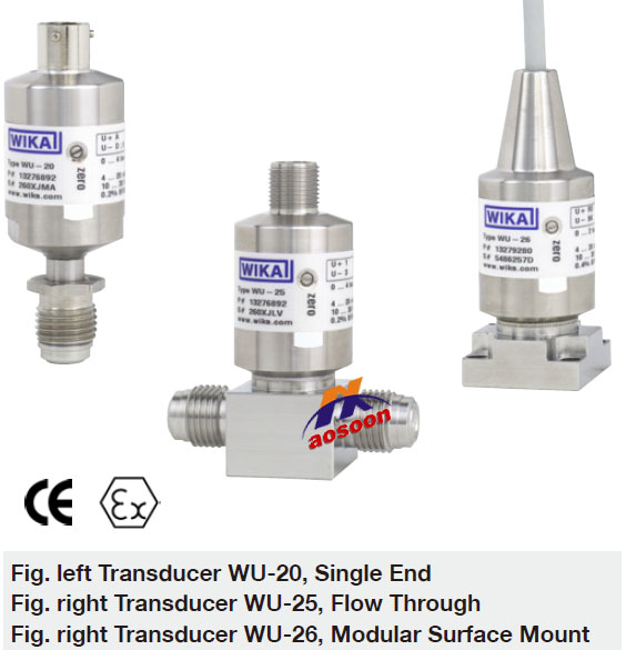 WIKA Transducer