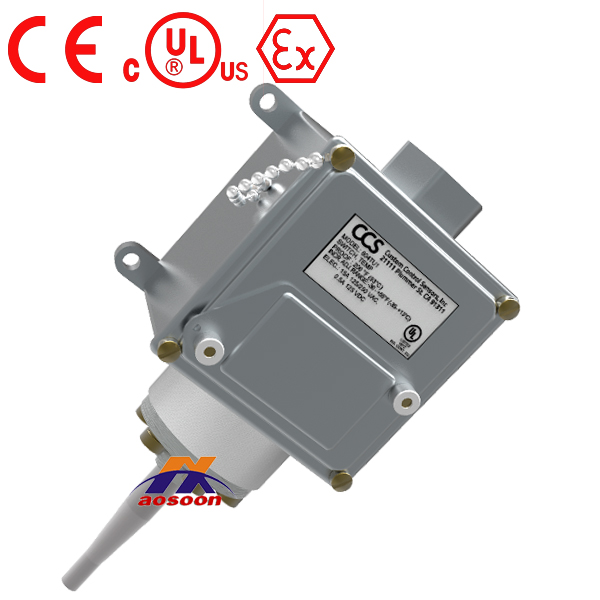 CCS temperature switch